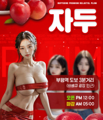 휴게텔-인천/경기 인천 자두 야맵